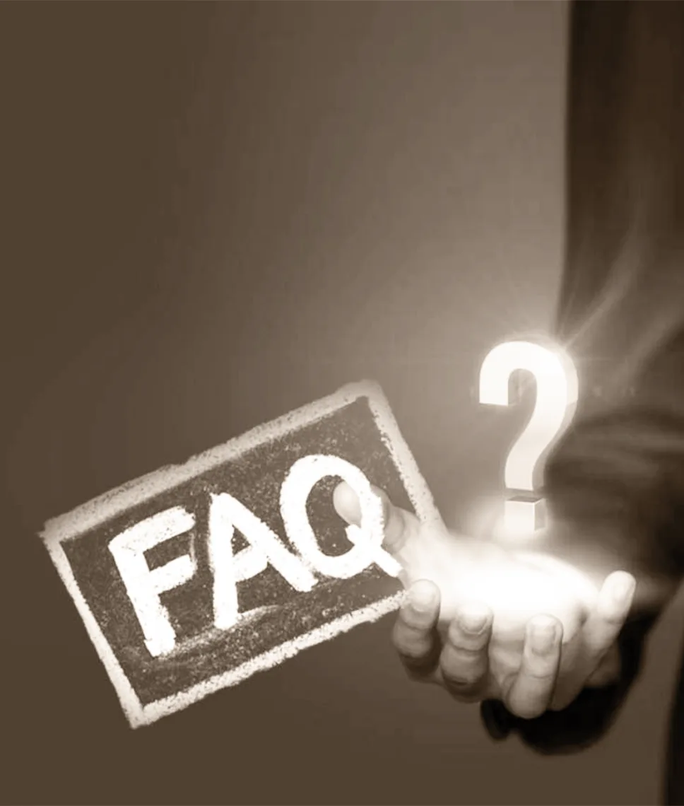  Frequently Asked Questions Livonia MI